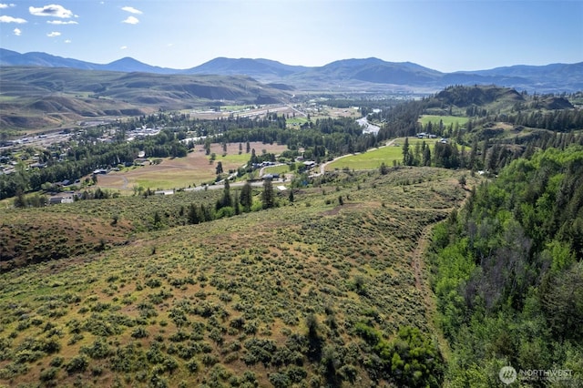 0TBD Alder Rd, Twisp, WA 98856