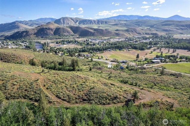 0TBD Alder Rd, Twisp, WA 98856
