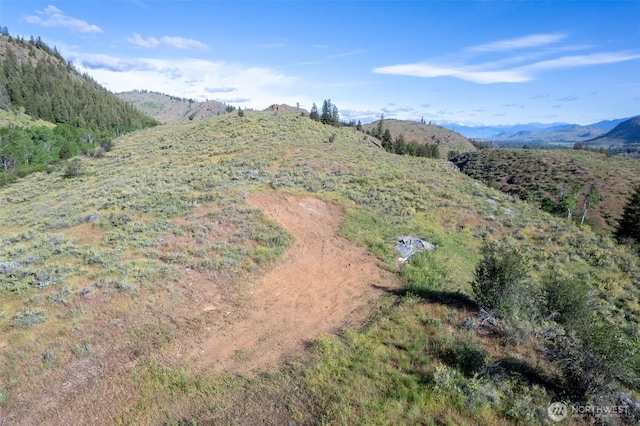 0TBD Alder Rd, Twisp, WA 98856