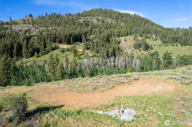 0TBD Alder Rd, Twisp, WA 98856