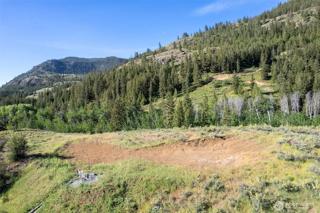 0TBD Alder Rd, Twisp, WA 98856