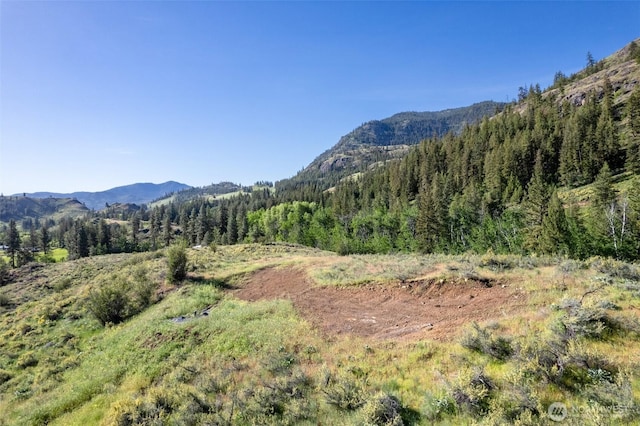 0TBD Alder Rd, Twisp, WA 98856