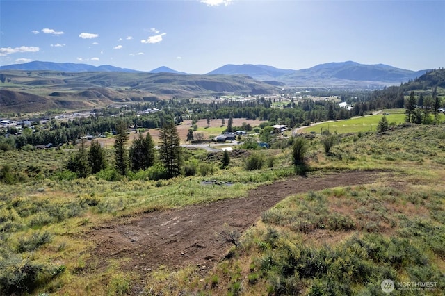 0TBD Alder Rd, Twisp, WA 98856
