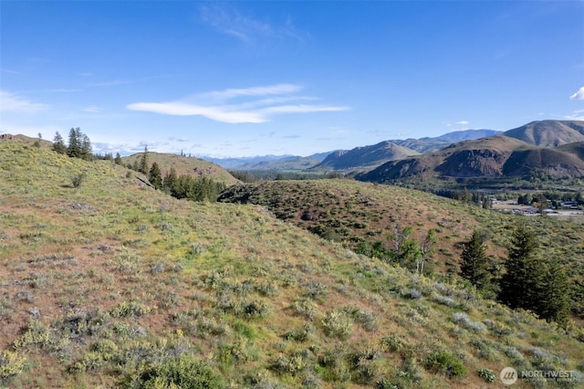 0TBD Alder Rd, Twisp, WA 98856