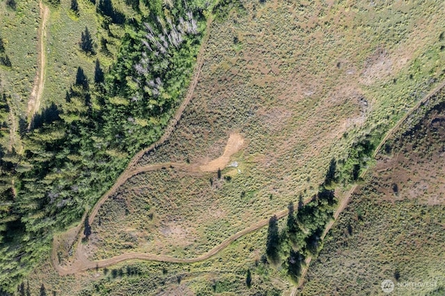 0TBD Alder Rd, Twisp, WA 98856