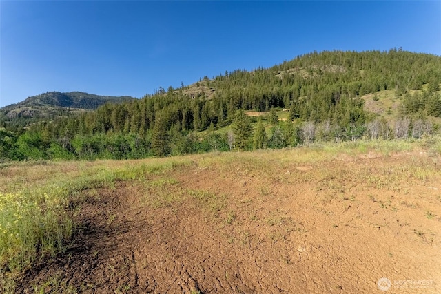 0TBD Alder Rd, Twisp, WA 98856