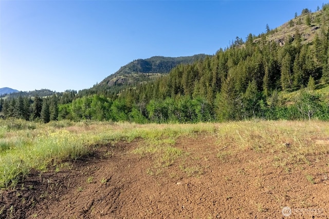 0TBD Alder Rd, Twisp, WA 98856