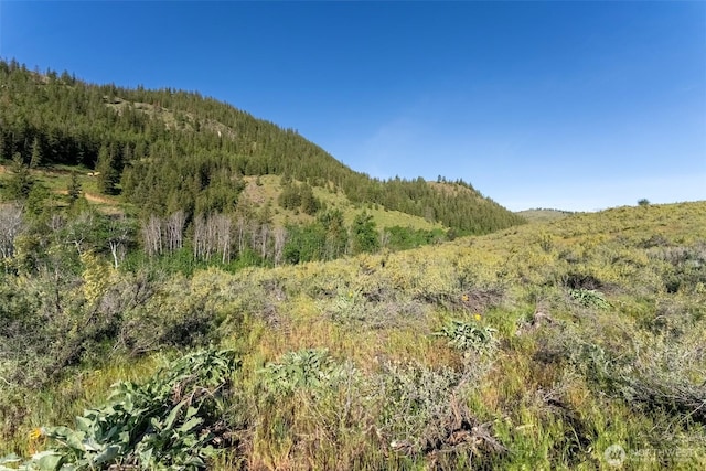 0TBD Alder Rd, Twisp, WA 98856