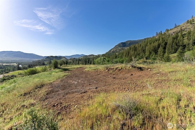 0TBD Alder Rd, Twisp, WA 98856