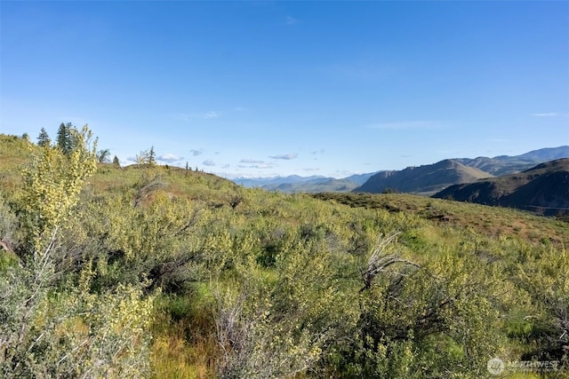 0TBD Alder Rd, Twisp, WA 98856