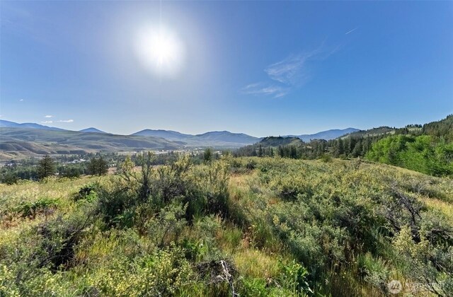 0TBD Alder Rd, Twisp, WA 98856