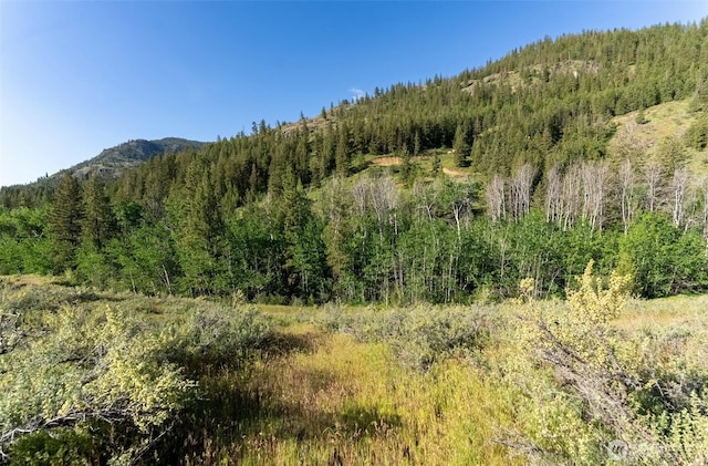 0TBD Alder Rd, Twisp, WA 98856
