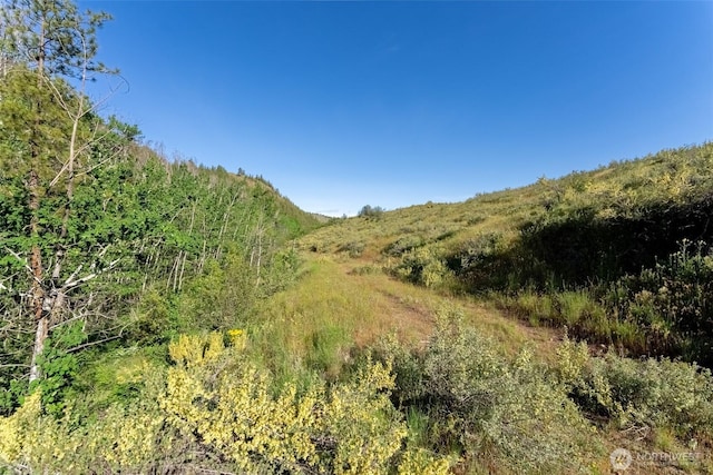 0TBD Alder Rd, Twisp, WA 98856