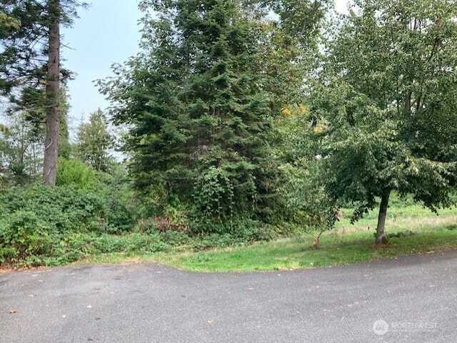 26900 13 Th Ave S, Des Moines, WA 98198 - photo 4