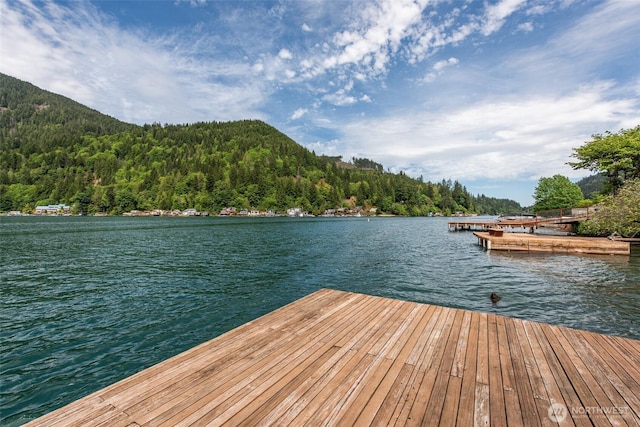 49 Sunny Point Ln, Port Angeles, WA 98363 - dock with a view of trees and a water view