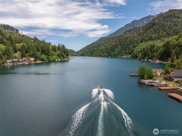 49 Sunny Point Ln, Port Angeles, WA 98363 - water view with a heavily wooded area and mountains