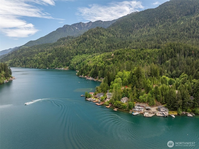 49 Sunny Point Ln, Port Angeles, WA 98363 - aerial view of a forest and a water and mountain view