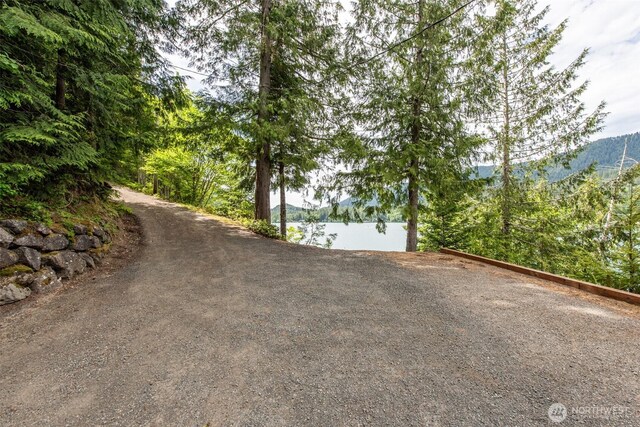 49 Sunny Point Ln, Port Angeles, WA 98363 - view of road