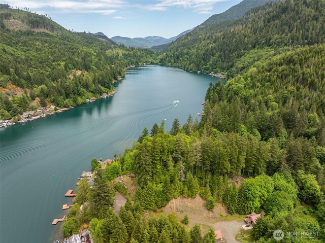 49 Sunny Point Ln, Port Angeles, WA 98363 - aerial view of property's location with a forest and a water and mountain view