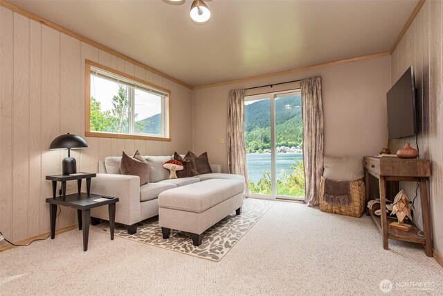 49 Sunny Point Ln, Port Angeles, WA 98363 - carpeted living room with plenty of natural light and ornamental molding