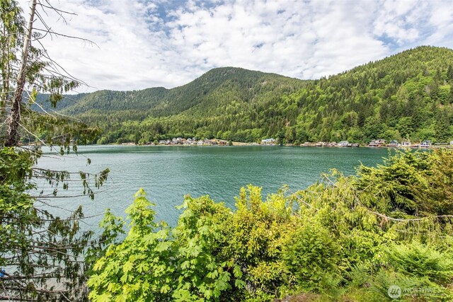 49 Sunny Point Ln, Port Angeles, WA 98363 - water view with a heavily wooded area and mountains