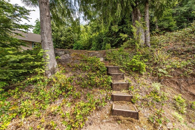 49 Sunny Point Ln, Port Angeles, WA 98363 - view of yard