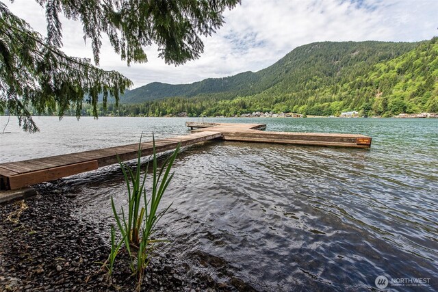 49 Sunny Point Ln, Port Angeles, WA 98363 - dock featuring a view of trees and a water and mountain view