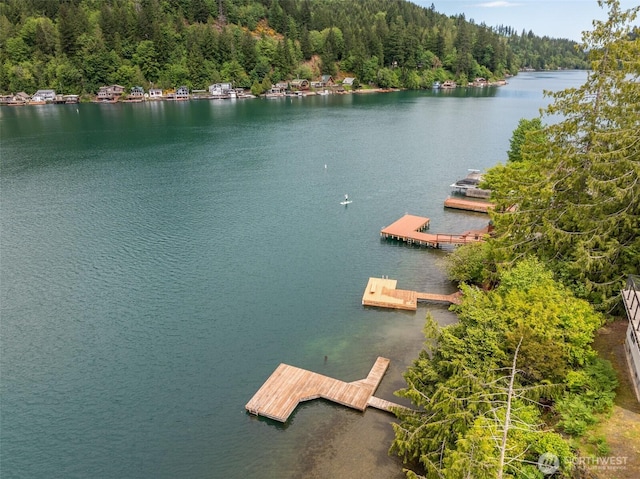 49 Sunny Point Ln, Port Angeles, WA 98363 - drone / aerial view of a nearby body of water and a heavily wooded area