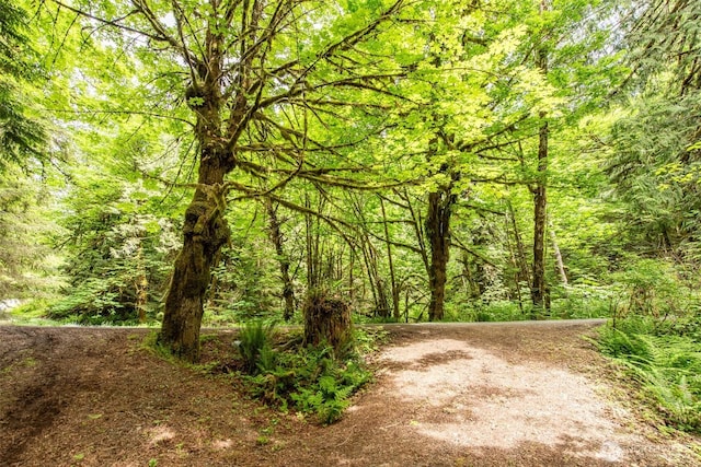 49 Sunny Point Ln, Port Angeles, WA 98363 - view of road with a wooded view