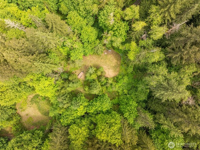 49 Sunny Point Ln, Port Angeles, WA 98363 - aerial view