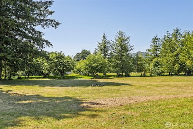 38431 147th St SE, Gold Bar, WA 98251 - view of grassy yard
