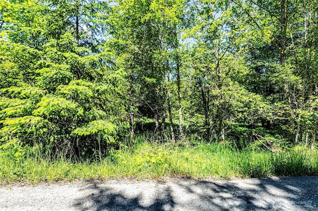 9999 E Scribner Rd, Port Angeles, WA 98362