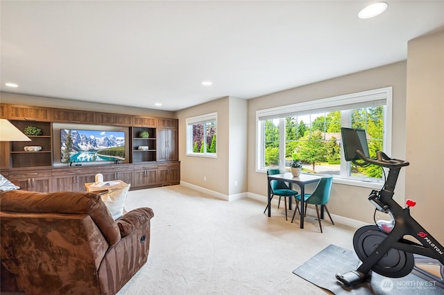 8707 236th Ave NE, Redmond, WA 98053 - photo 19