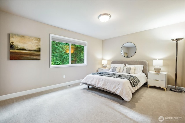 8707 236th Ave NE, Redmond, WA 98053 - photo 28