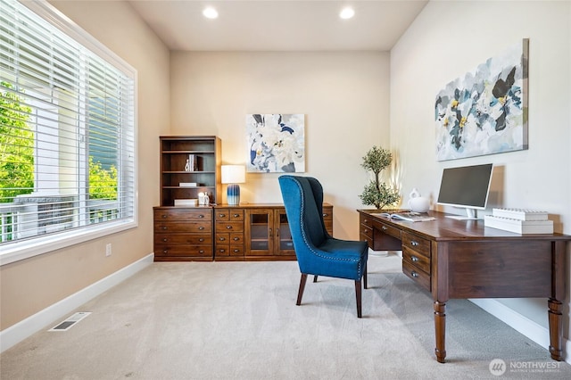 8707 236th Ave NE, Redmond, WA 98053 - photo 32