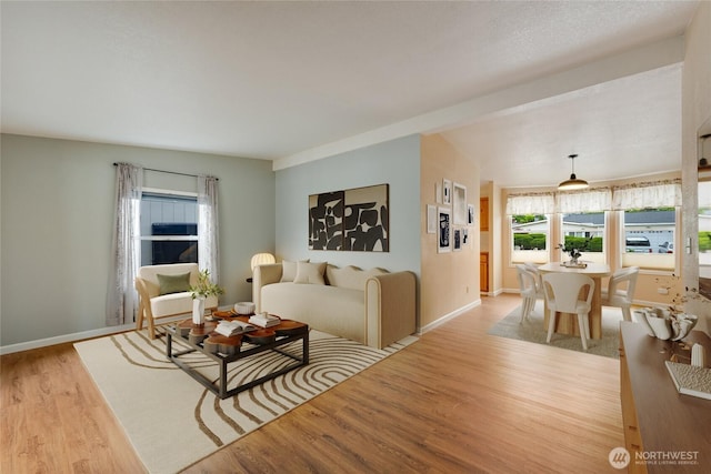 716 Dennis St SE Unit 93, Tumwater, WA 98501 - living room featuring light wood-type flooring and baseboards