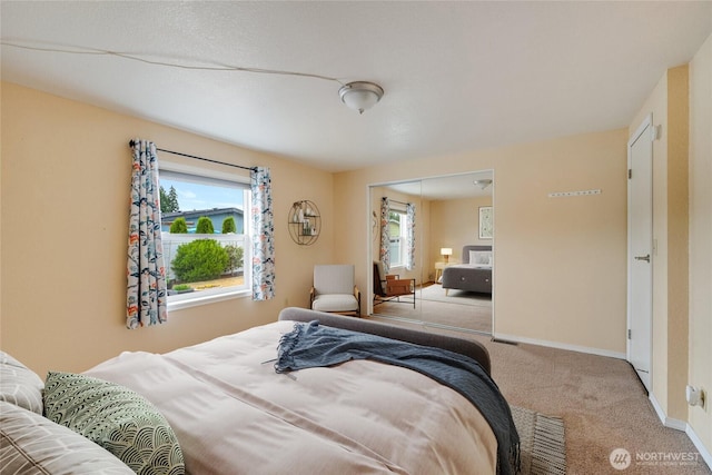 716 Dennis St SE Unit 93, Tumwater, WA 98501 - bedroom with carpet and a closet