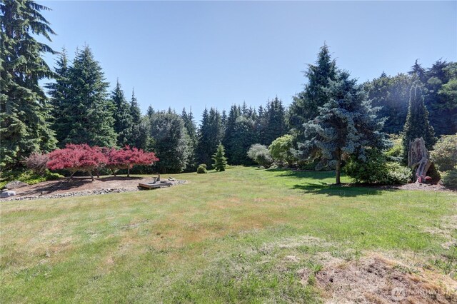 905 Bywater Way, Port Ludlow, WA 98365 - view of green lawn