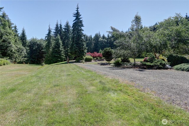 905 Bywater Way, Port Ludlow, WA 98365 - view of dirt / gravel road
