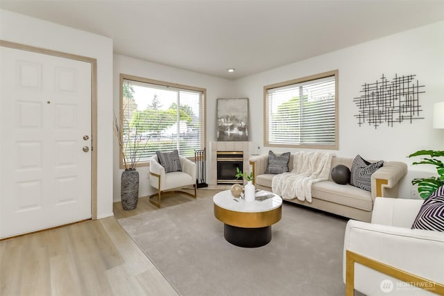 5129 Green Hills Ave NE Unit A, Tacoma, WA 98422 - living area featuring light wood-type flooring and a fireplace