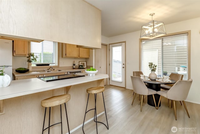 5129 Green Hills Ave NE Unit A, Tacoma, WA 98422 - kitchen featuring light countertops, a kitchen breakfast bar, light wood-type flooring, and a sink