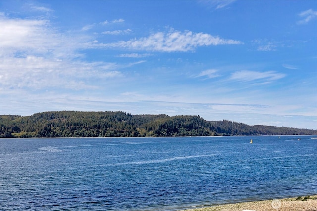 17257 Olympic View Rd NW, Silverdale, WA 98383 - water view with a heavily wooded area
