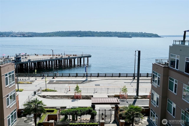 1900 Alaskan Way Unit 105, Seattle, WA 98101 - dock area featuring a water view