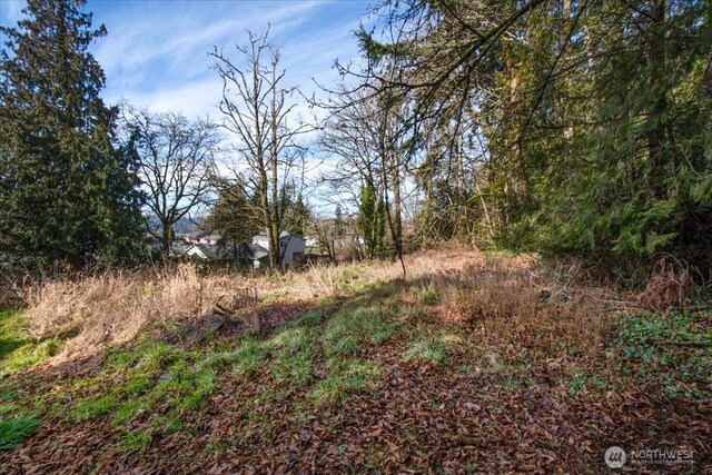 390 Juniper St, Kalama, WA 98625 - photo 18