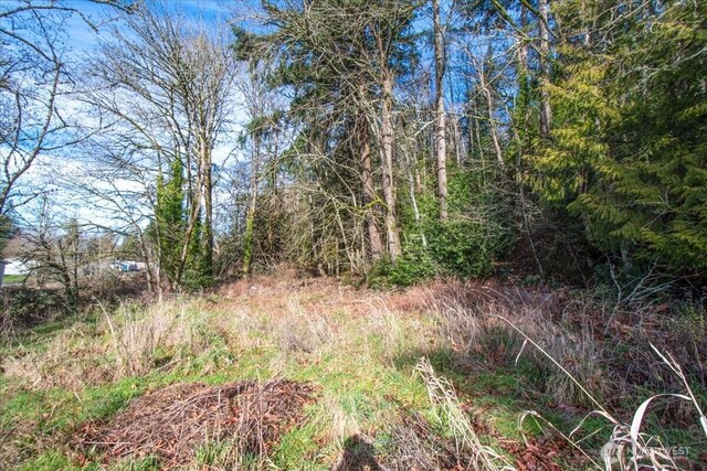 390 Juniper St, Kalama, WA 98625 - photo 20