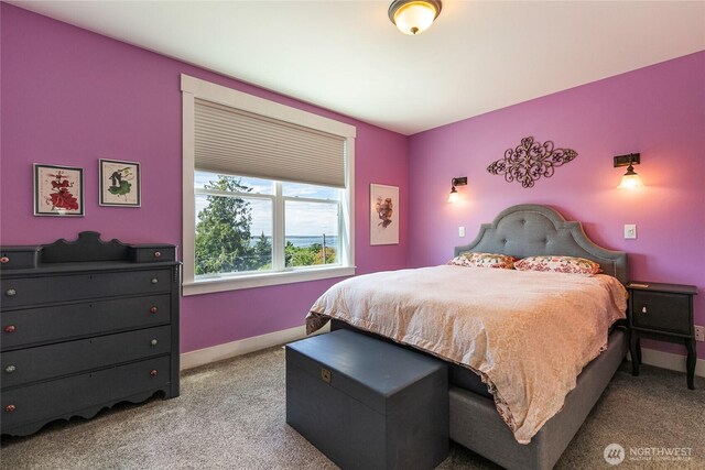 805 11th St, Bellingham, WA 98225 - carpeted bedroom with baseboards