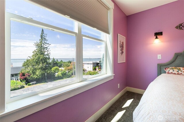 805 11th St, Bellingham, WA 98225 - bedroom featuring dark carpet, baseboards, and multiple windows