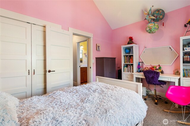 805 11th St, Bellingham, WA 98225 - bedroom featuring carpet flooring, a closet, and high vaulted ceiling