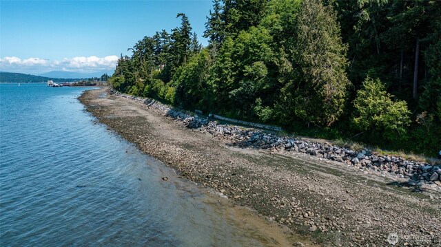 4100 Oakes Ave, Anacortes, WA 98221 - photo 4