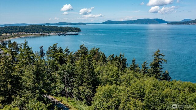 4100 Oakes Ave, Anacortes, WA 98221 - photo 6